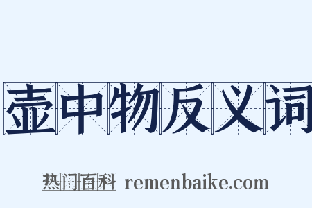 壶中物反义词是什么意思的图片